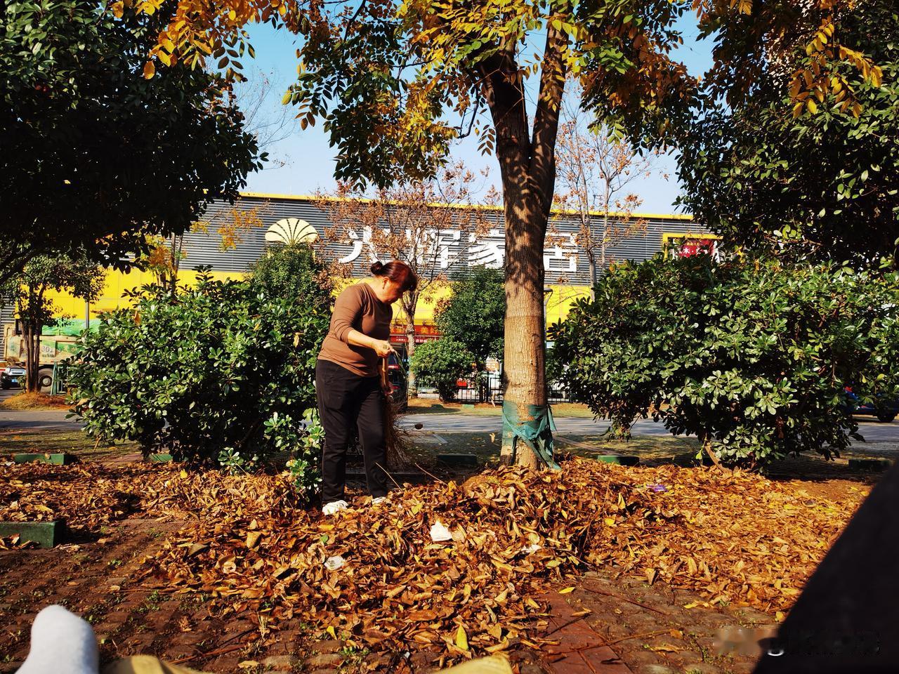 《临江仙·扫树叶的女人》以现代笔触融古典词境，通过“扫叶”这一寻常劳动场景，勾勒