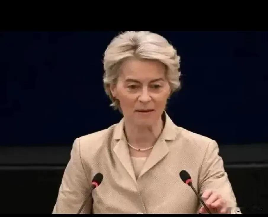 欧洲GDP略超中国，冯德莱恩在媒体上发文祝贺，欧媒也是一片叫好。
8月27号，从