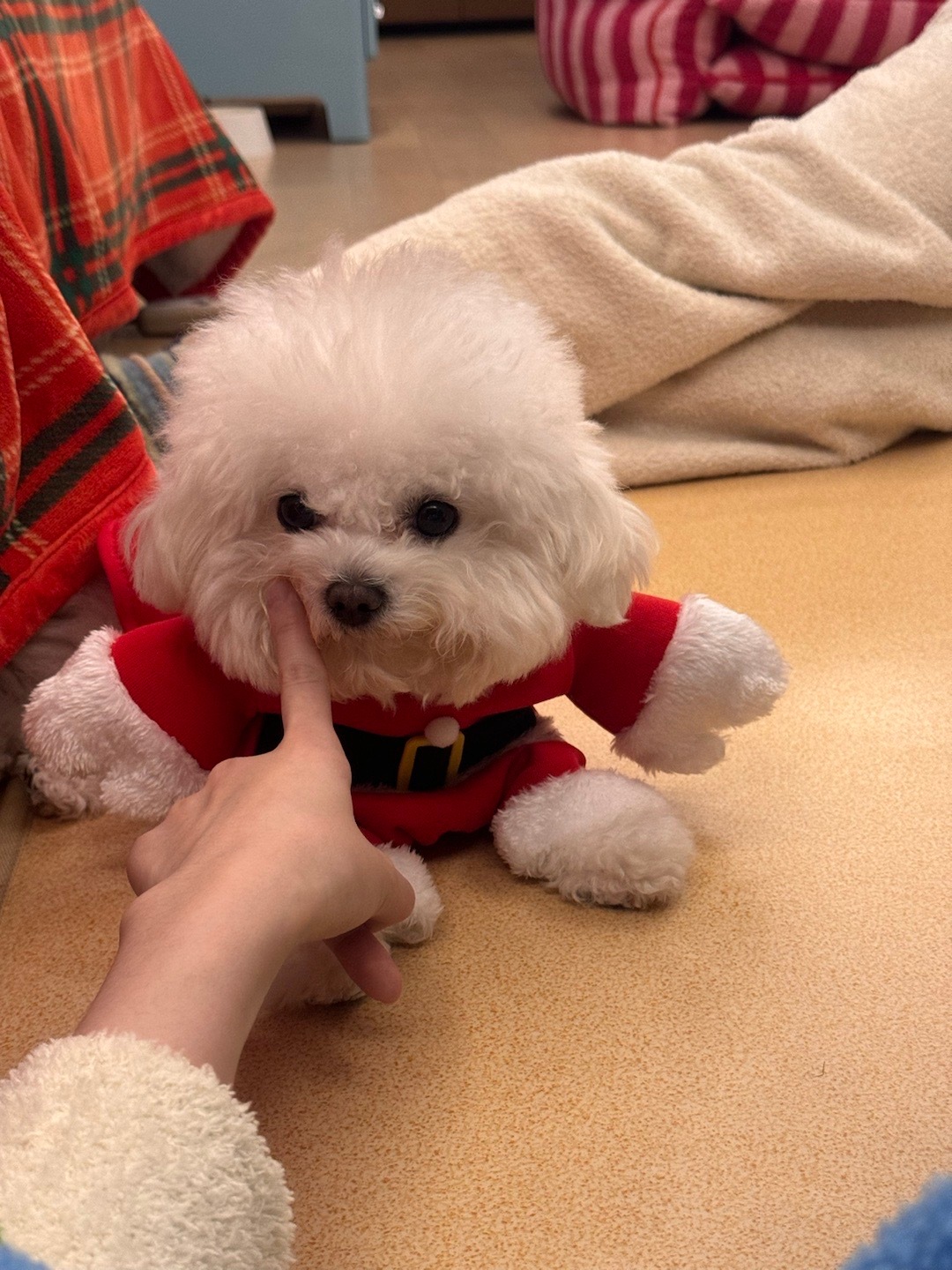 🎅🏻 