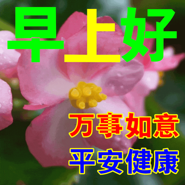 【老人爱转发早安问候的原因，有时间，就回应下】据北京晚报报道：许多年轻人都有这样