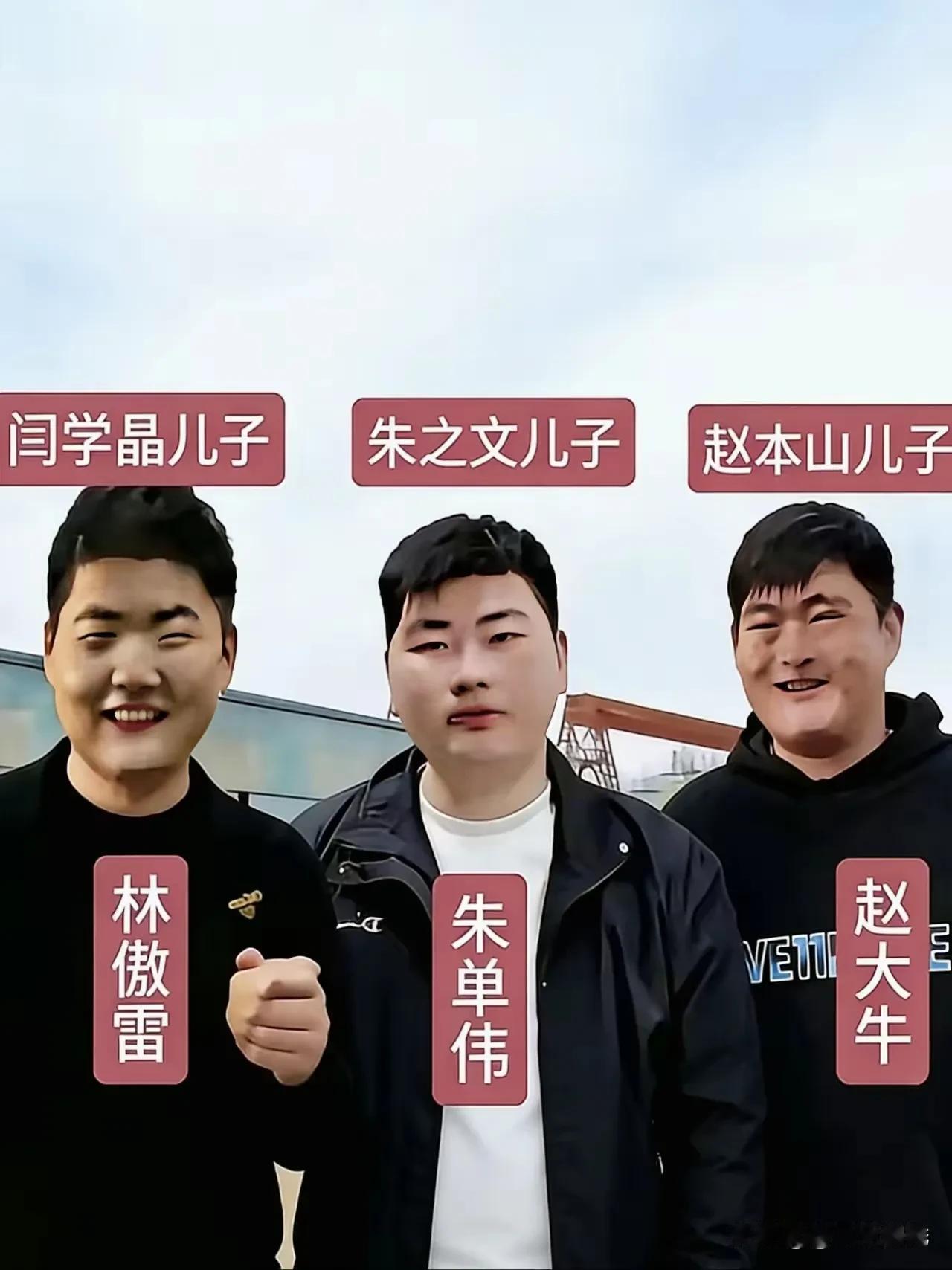 刚看到有人称林傲霏、朱单伟、赵大牛为戏曲二代，他们真能担此代表之责吗？
先说林傲