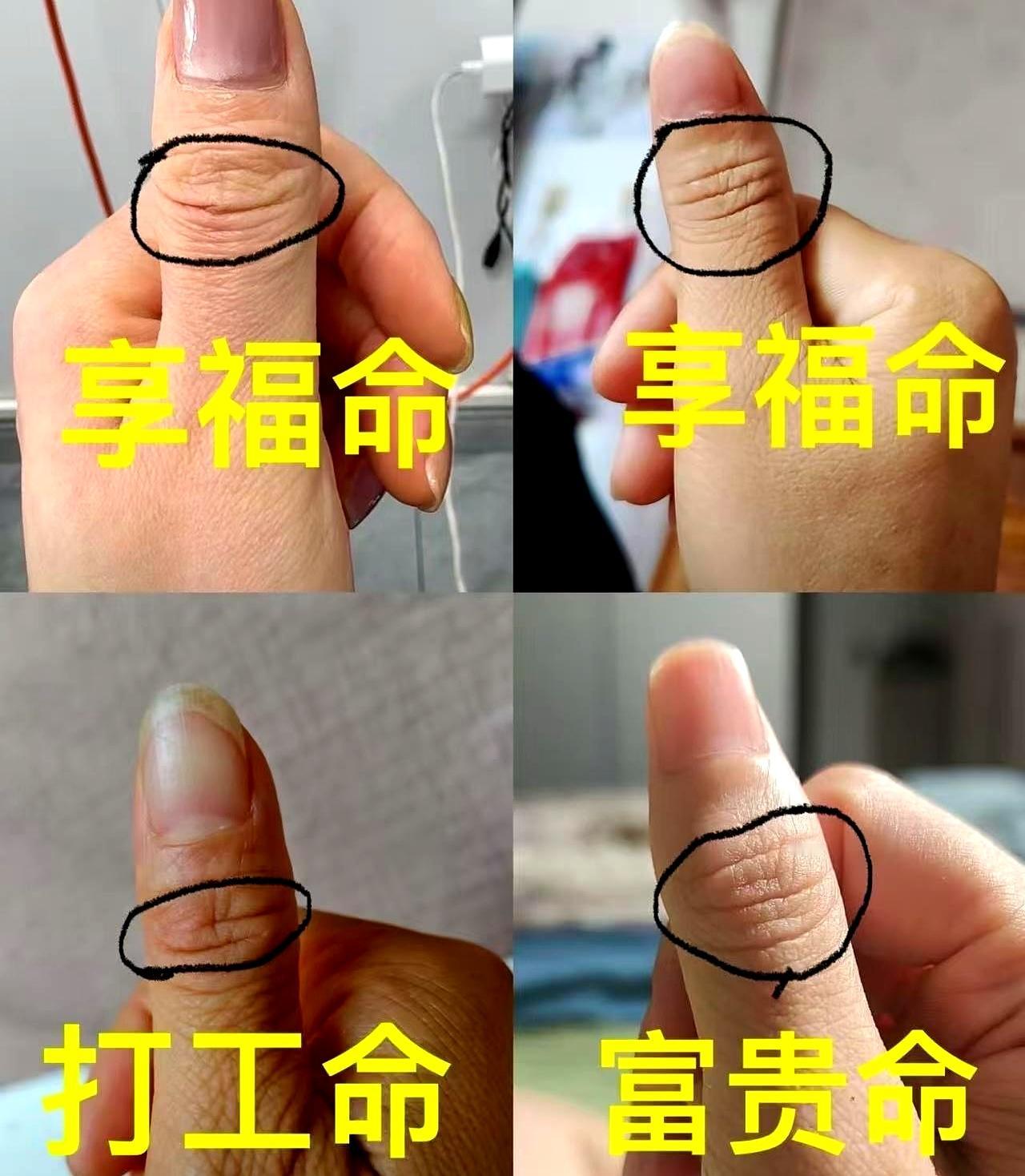 当刷到“对照一下，看自己是什么命”时，手忽然一停，评论区像开了锅。
有人把生活按