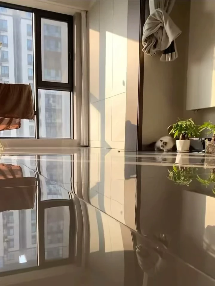 忠告：来我家，脚得扛在肩上走🤣