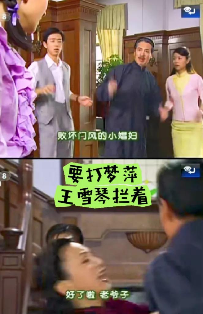 梦萍是不是唯一没被陆振华打过的孩子？
陆振华打过依萍，如萍，尔豪，尔杰都差点扔地