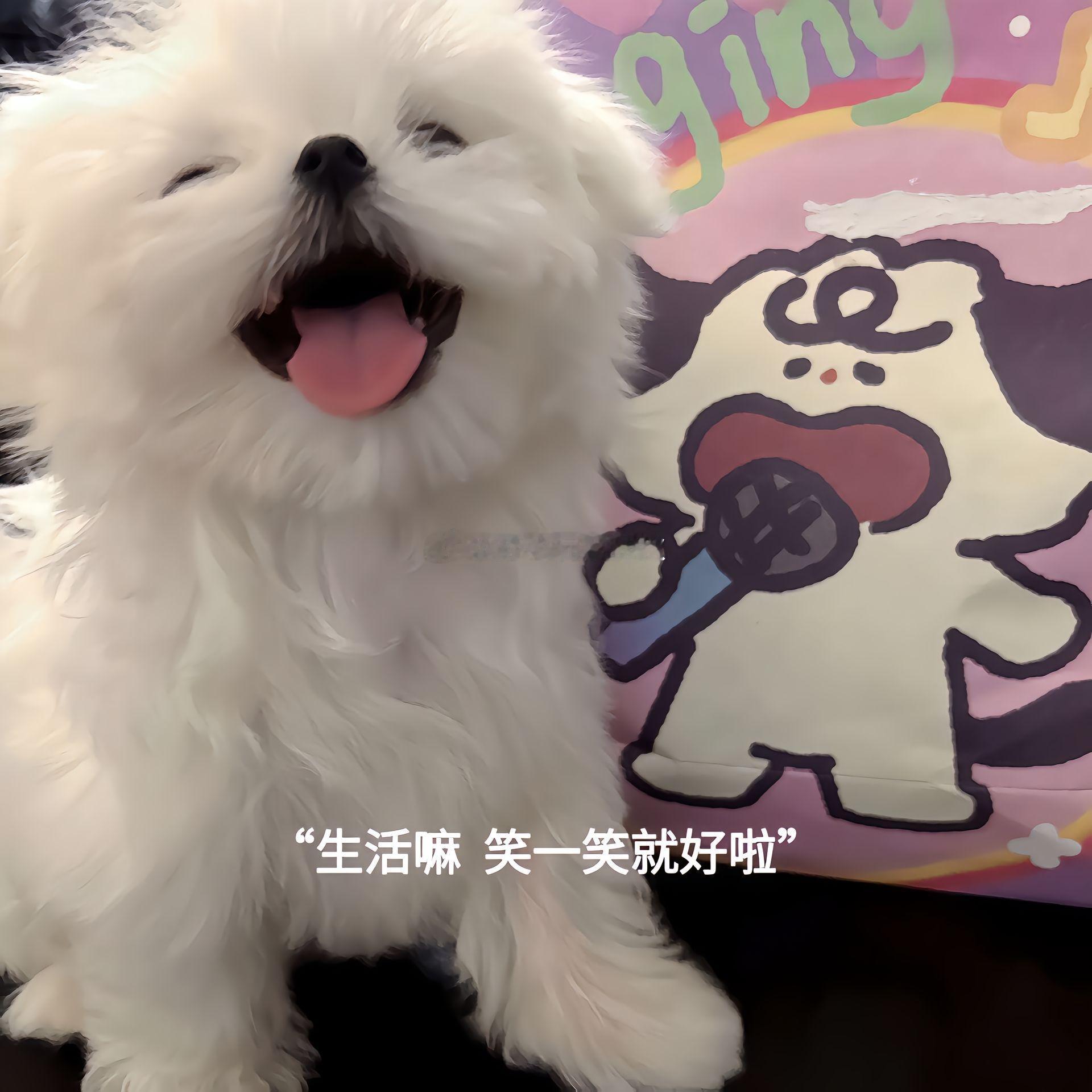 7月每日抽奖 第 6 期来啦（平+关）随机抽取一位小阔爱送5🧧。明天中午12点