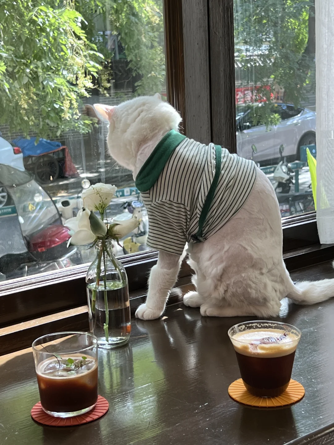 坐在这样的窗边🪟好自愈～❗❗❗