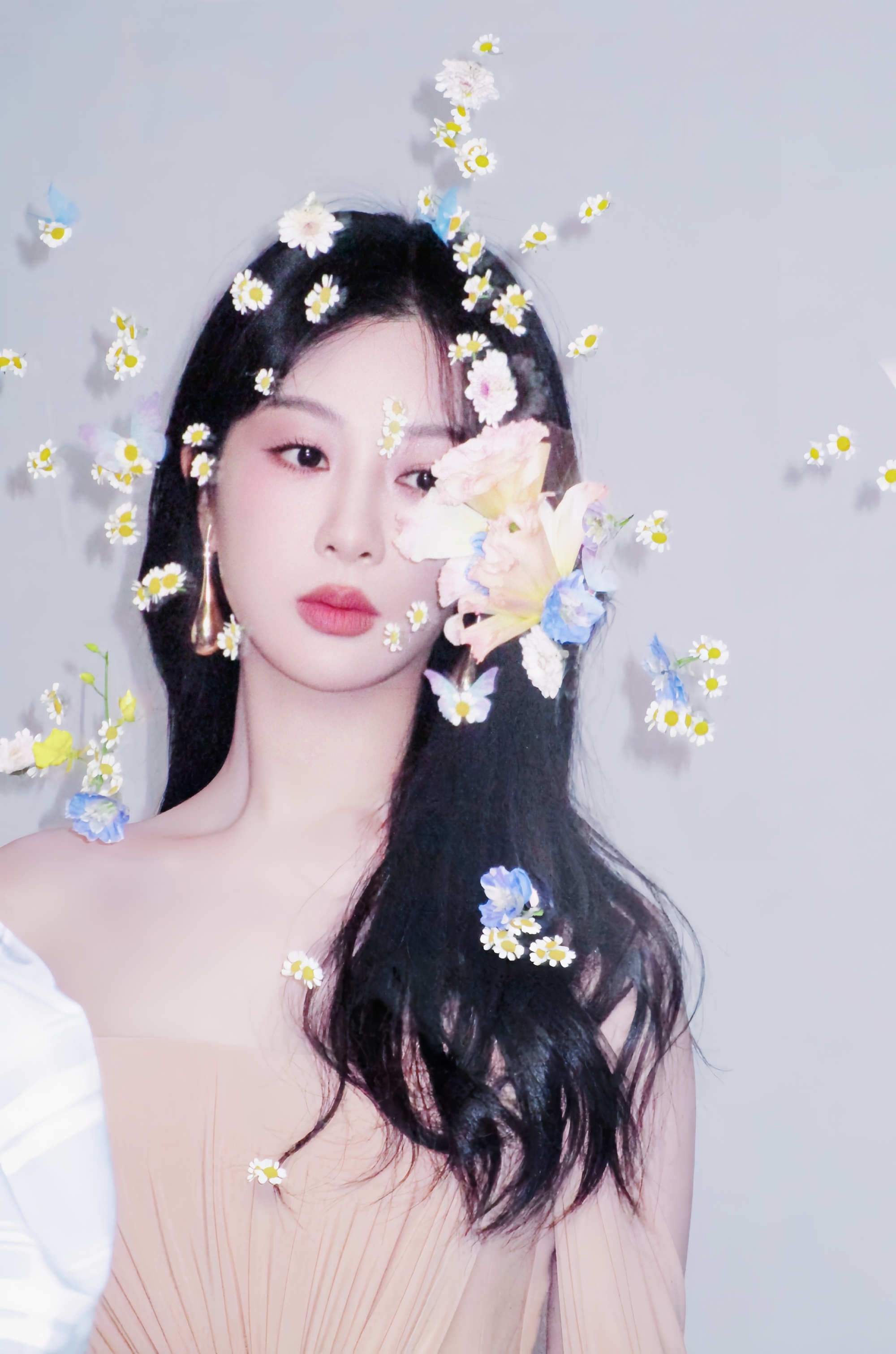 杨紫 yz杨紫董竹君 yz杨紫全网告黑 铺陈纸笔，情字里写满你；花开十里，片片为