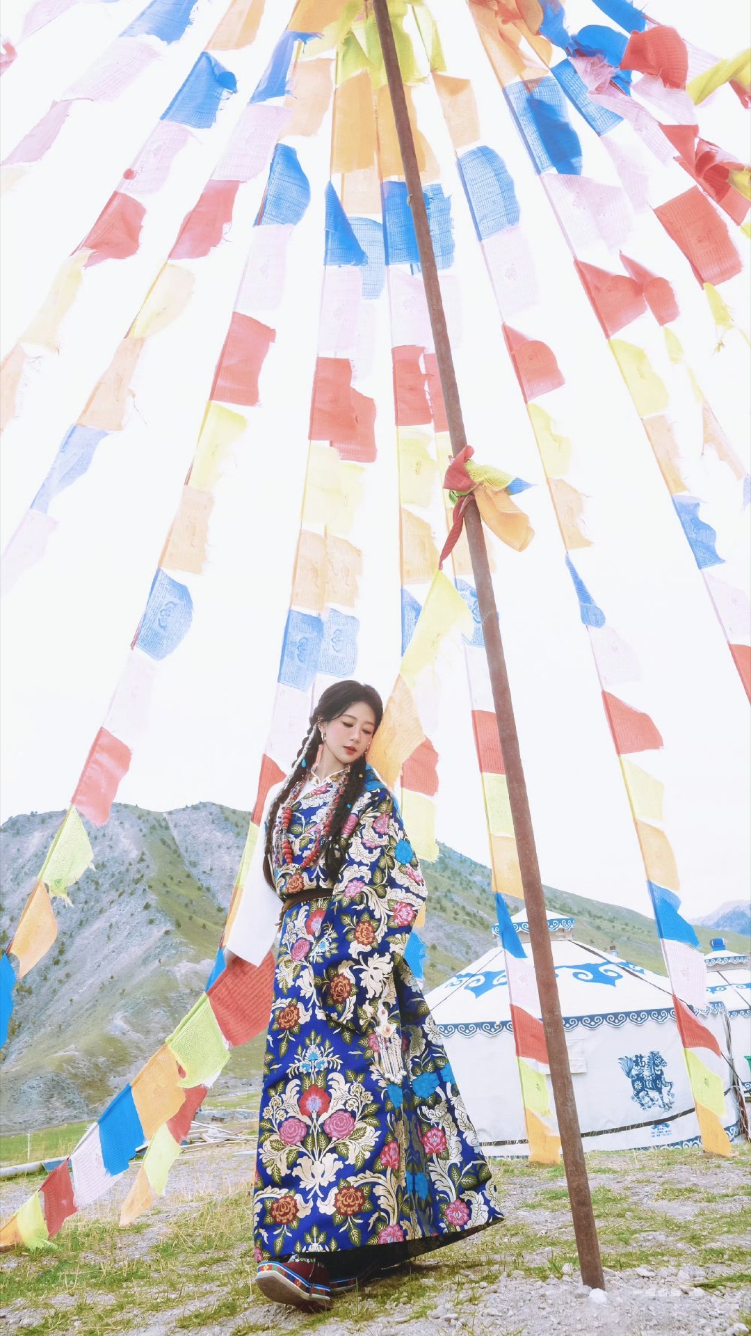 杨紫 yz杨紫白菊 yz杨紫生命树“爱意随风起 扎根于尘土 花香弥漫于我心 𝗟