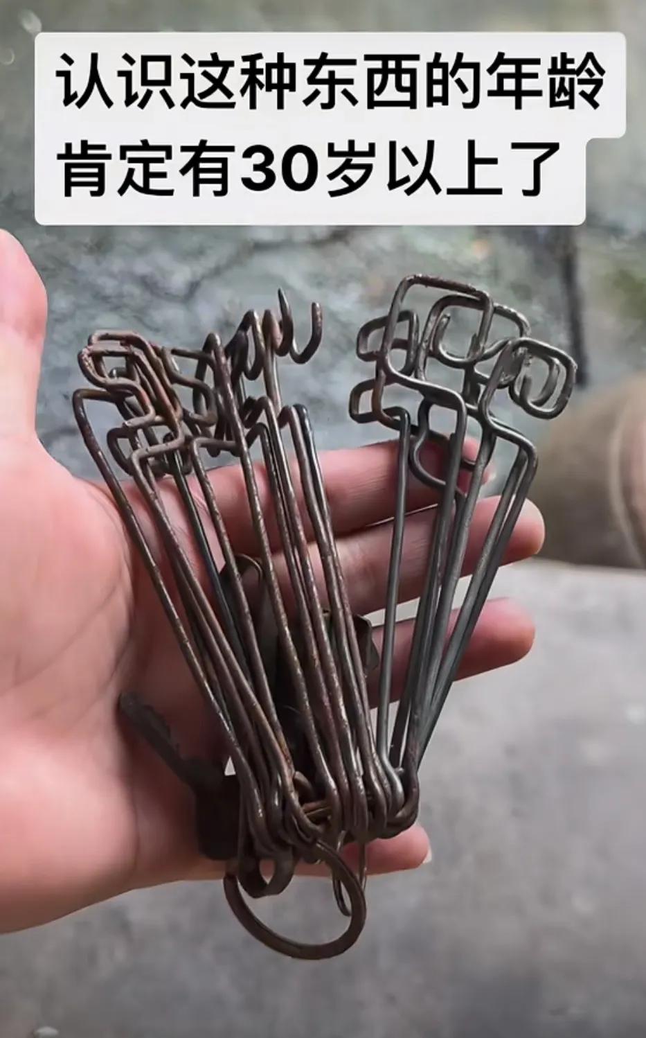 就这玩意儿， 我赌你叫不上全名。
看着是不是挺眼熟？ 好像哪儿都能瞅见。 可真要