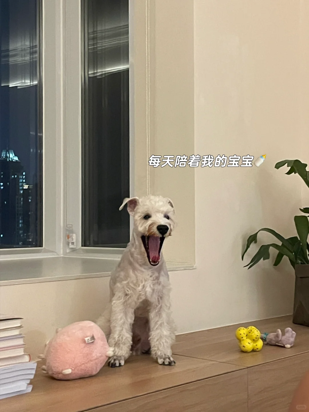降重结束，等待提交盲审