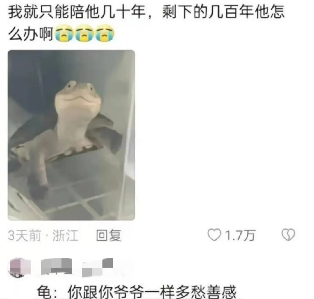 怎么那么有才哈哈哈哈哈