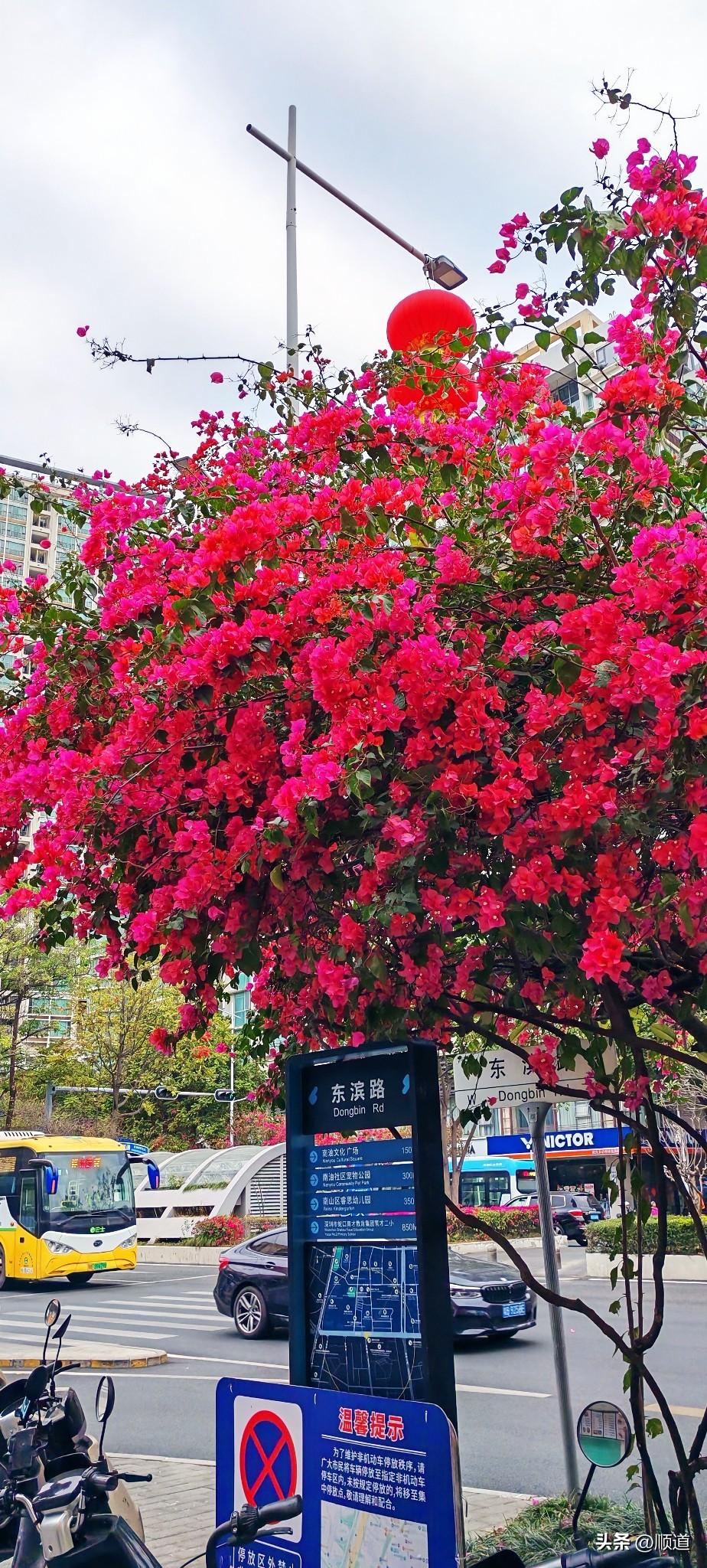 女子远嫁怀二胎5个月了，要二胎之前说好了，婆婆去上班，每月给她2500。当然要二