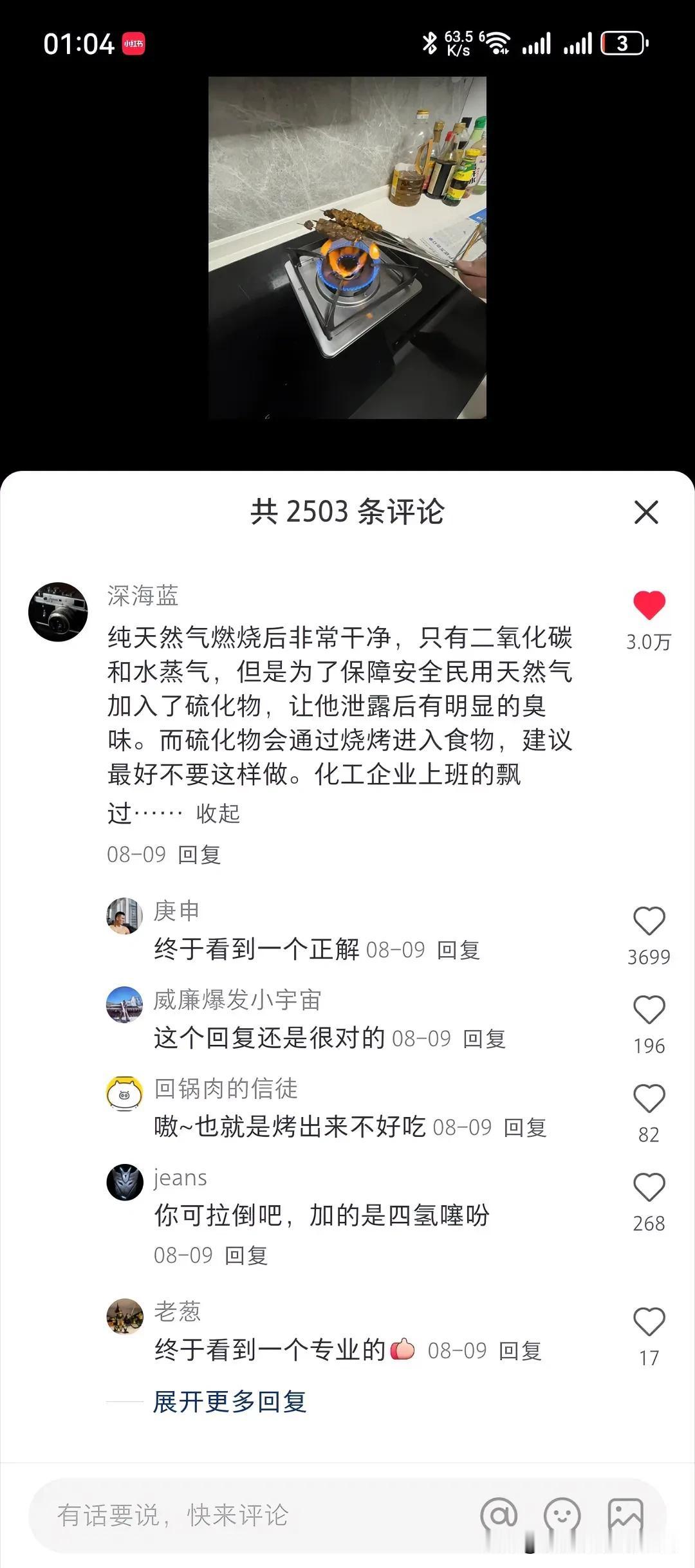 查了一下燃气灶上能不能烧烤，看到一条回复，对吗？ ​#理想家生活#