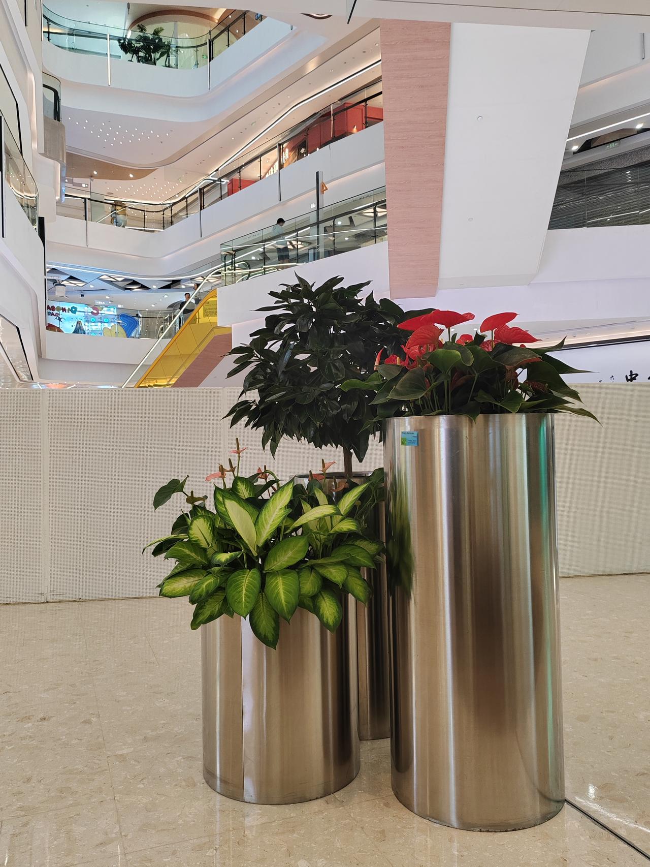 今日份商场小发现📸
冷调金属花盆配鲜活绿植也太搭了！红掌的热烈、花叶万年青的清