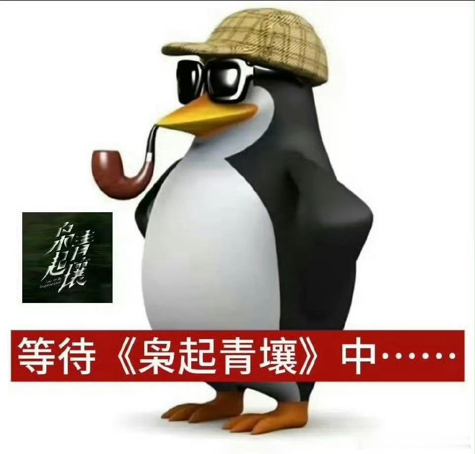 主持人是官博啊，准了！ 