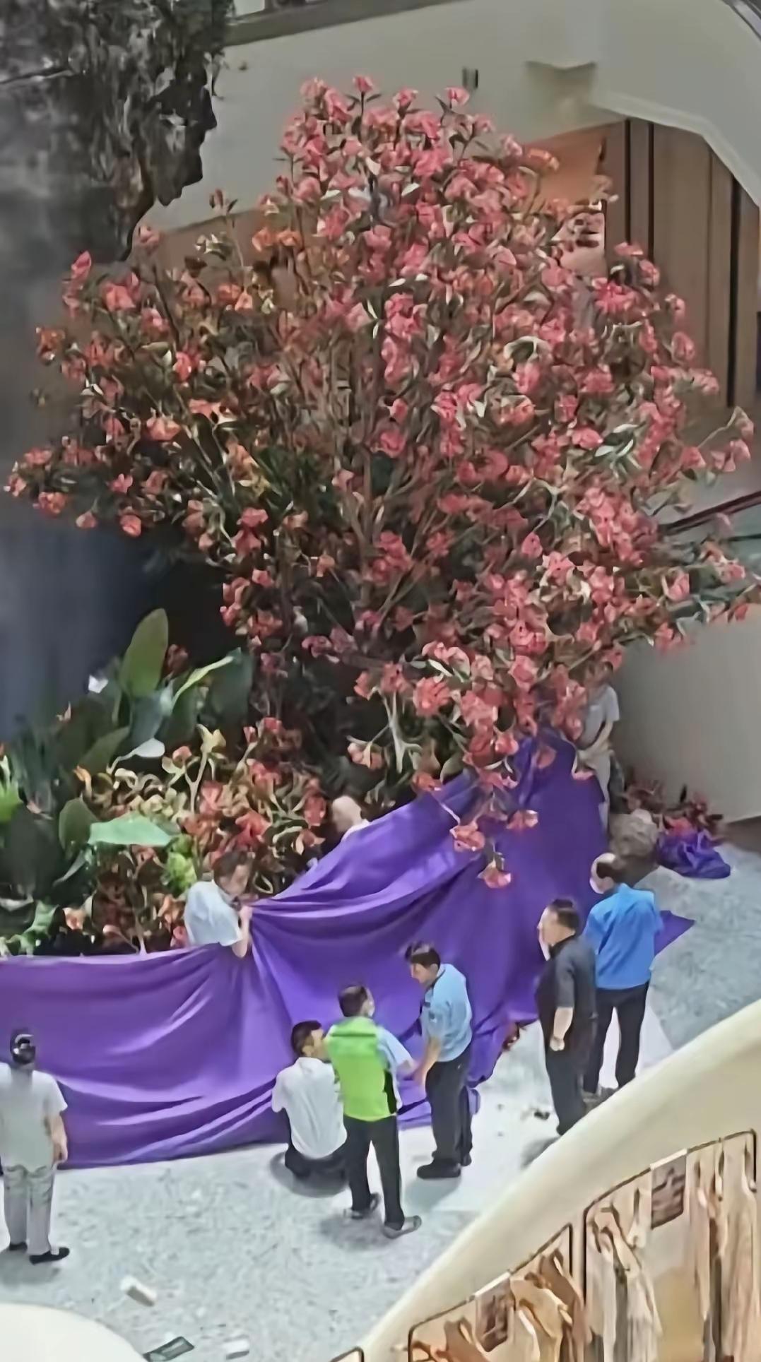 这段时间西安赛格这件事在网上闹

得沸沸扬扬，现场画面看着心里格外压抑，工作人员