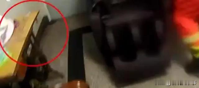 “吓死人了”！浙江杭州，女子在家中休息看电视，隐约听到门外传来响声，好像有人在敲