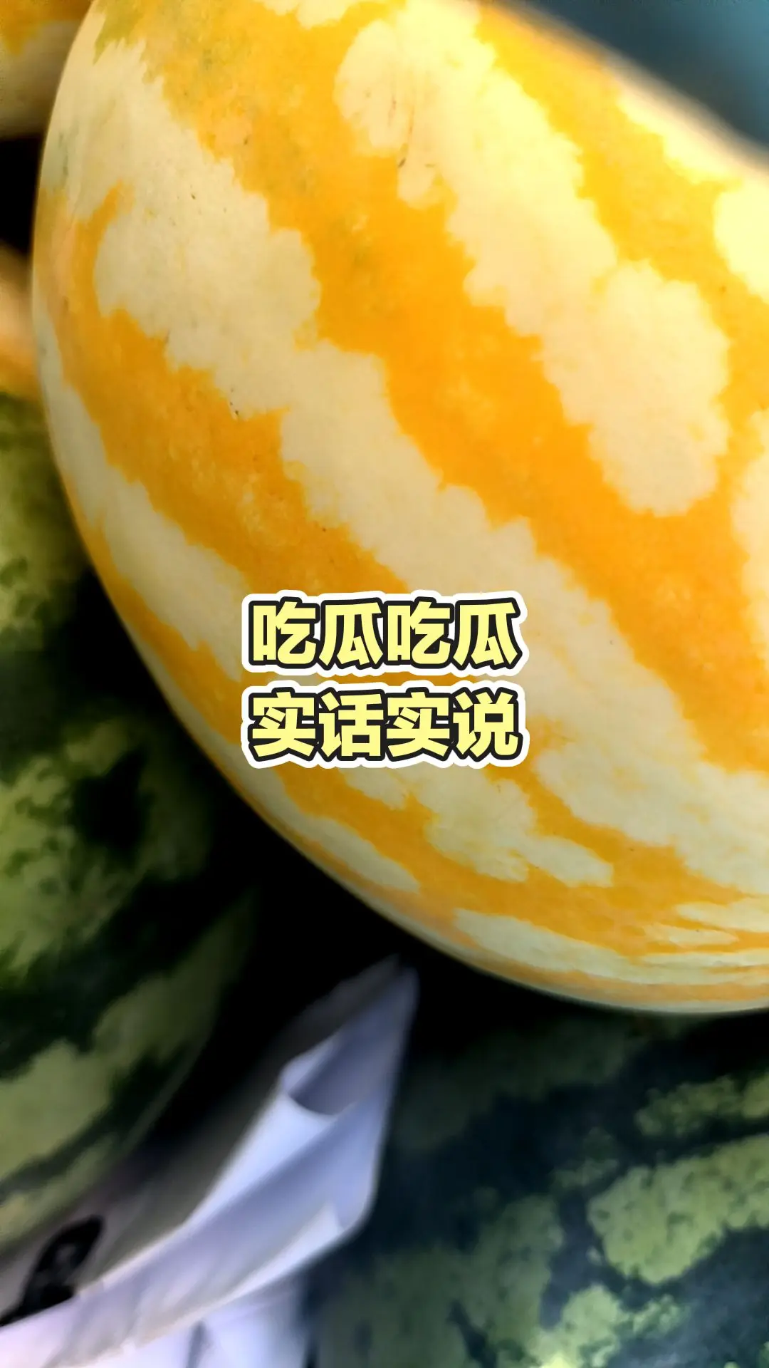 每日分享