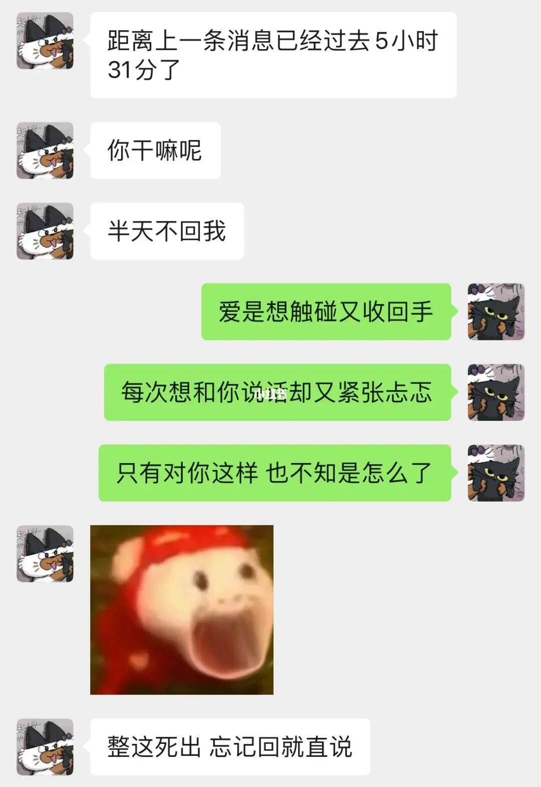 《和男朋友的极限对抗》