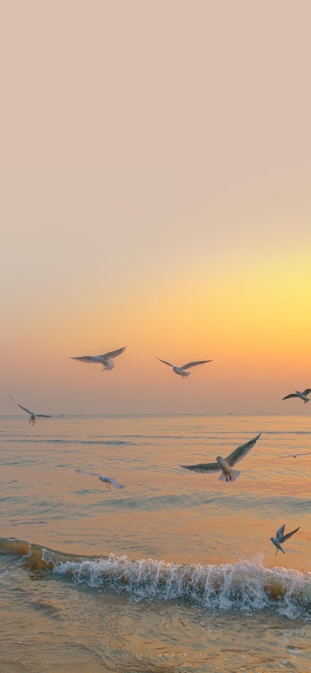 永远别忘记祝福自己。｜里尔克《布里格手记》 