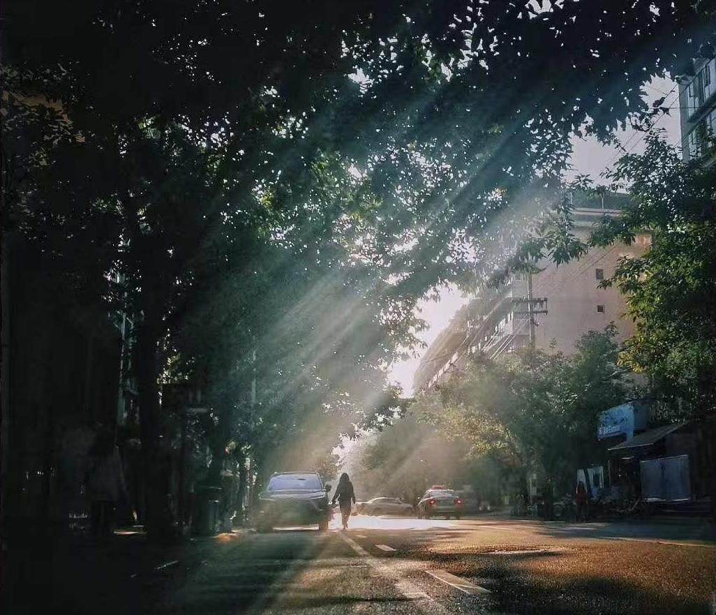 当生活让你感到沉重、无力时，不要等待动力、答案或确定感。随便选一件事开始做，微小