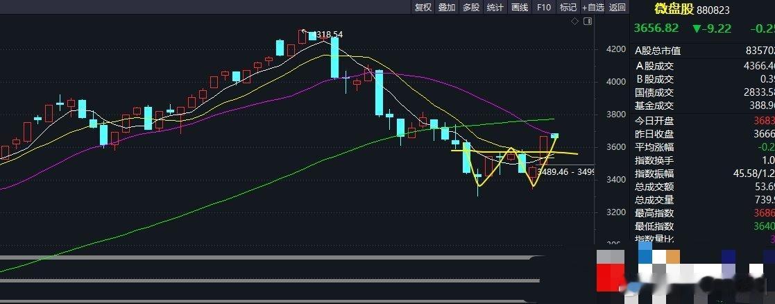 微盘股 指数K线形态，是标准的W底，双锤打桩。有新热点小红书，还有机器人这个大主