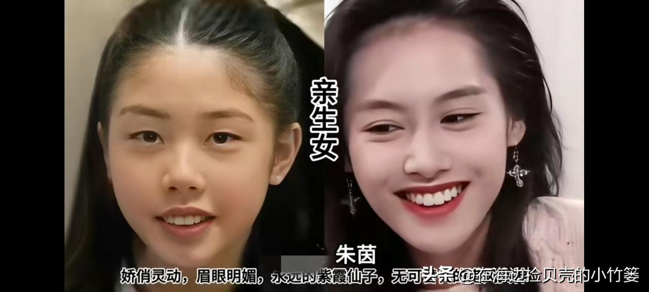 娱乐圈里的明星母女。
徐露与女儿、朱茵与女儿、江珊与女儿、
李湘与女儿、贾静雯与