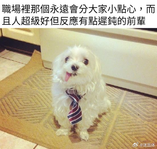 大差不差memes迷译图
