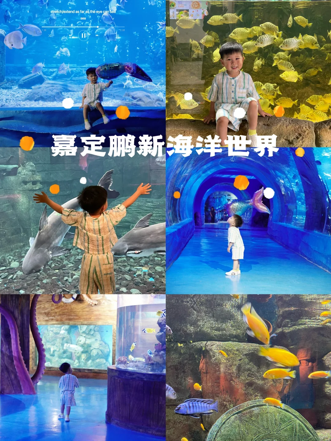 在上海！99%的人都不知道的海洋馆！