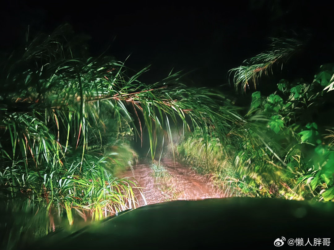 此时此刻 20260804。周二。六月廿二。穿过风雨烂泥路上山晚上九点半终于抵达