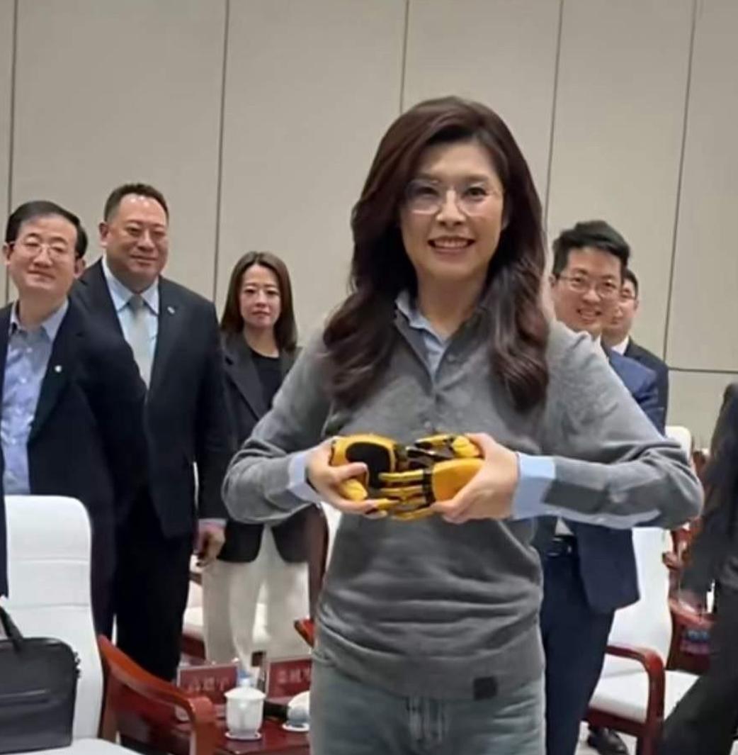 郑丽文一觉睡醒，接连收到两个好消息。
 
第一个好消息，来自中关村的一位科技企业