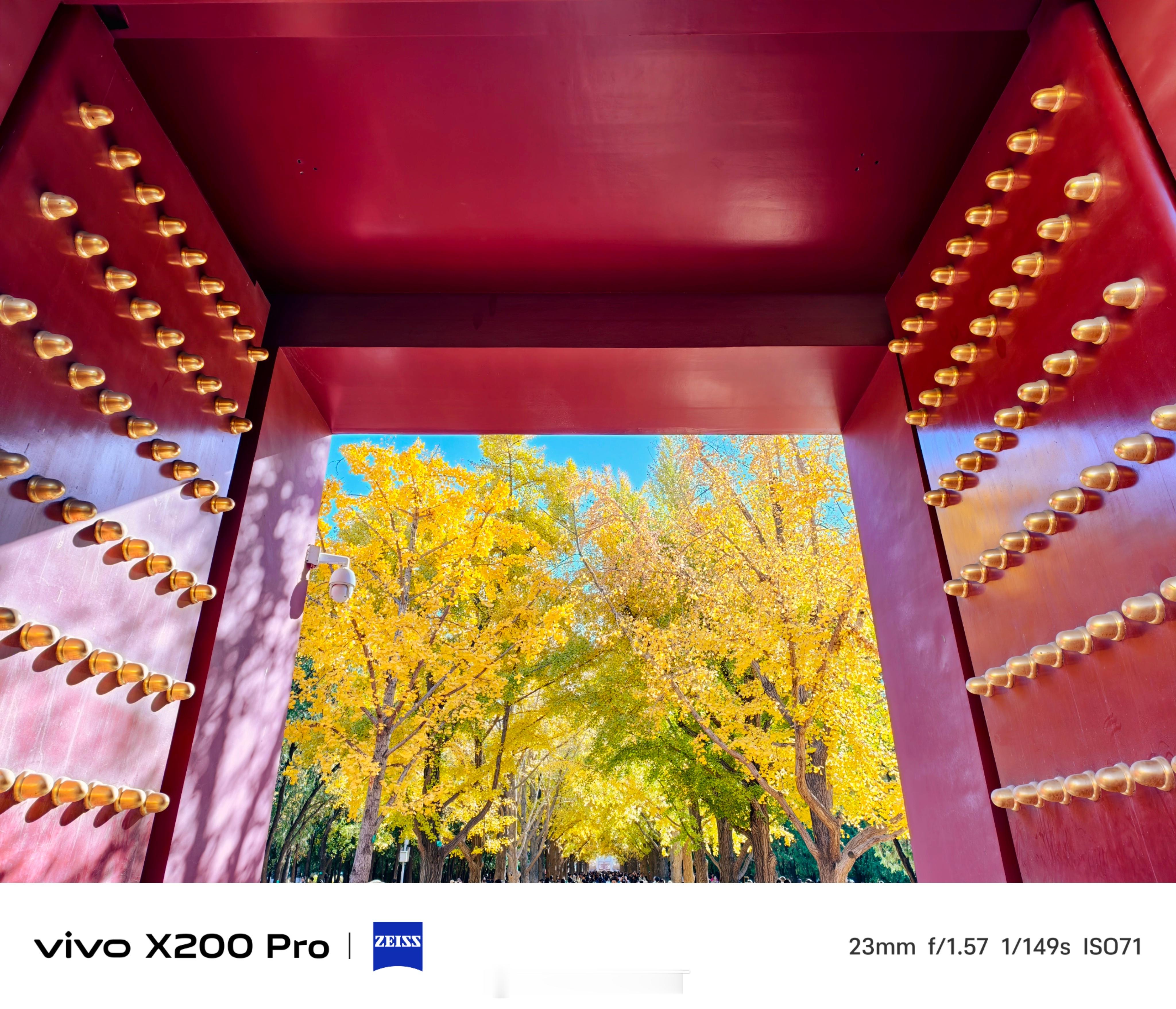 X200 Pro白月光开箱后的第一张照片，当然要留给秋意正浓的北京地坛公园。天公