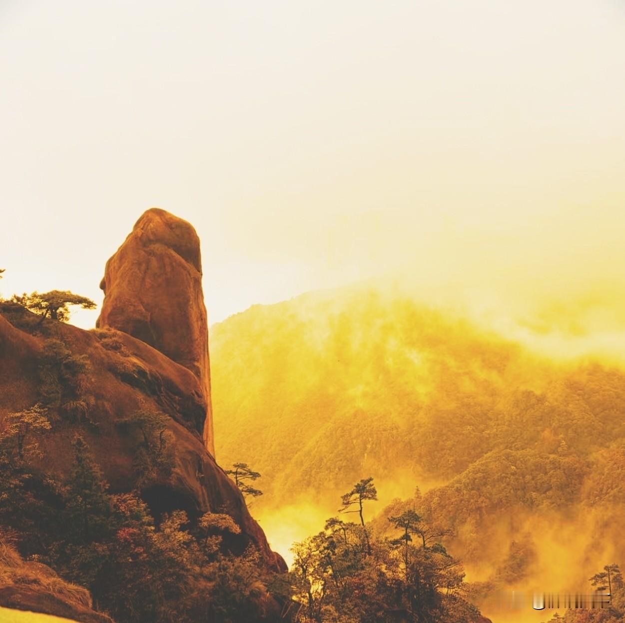 有的时候，拖垮一个普通的家庭，只需要一个病人；而托起一个家庭，只需要一个注重健康