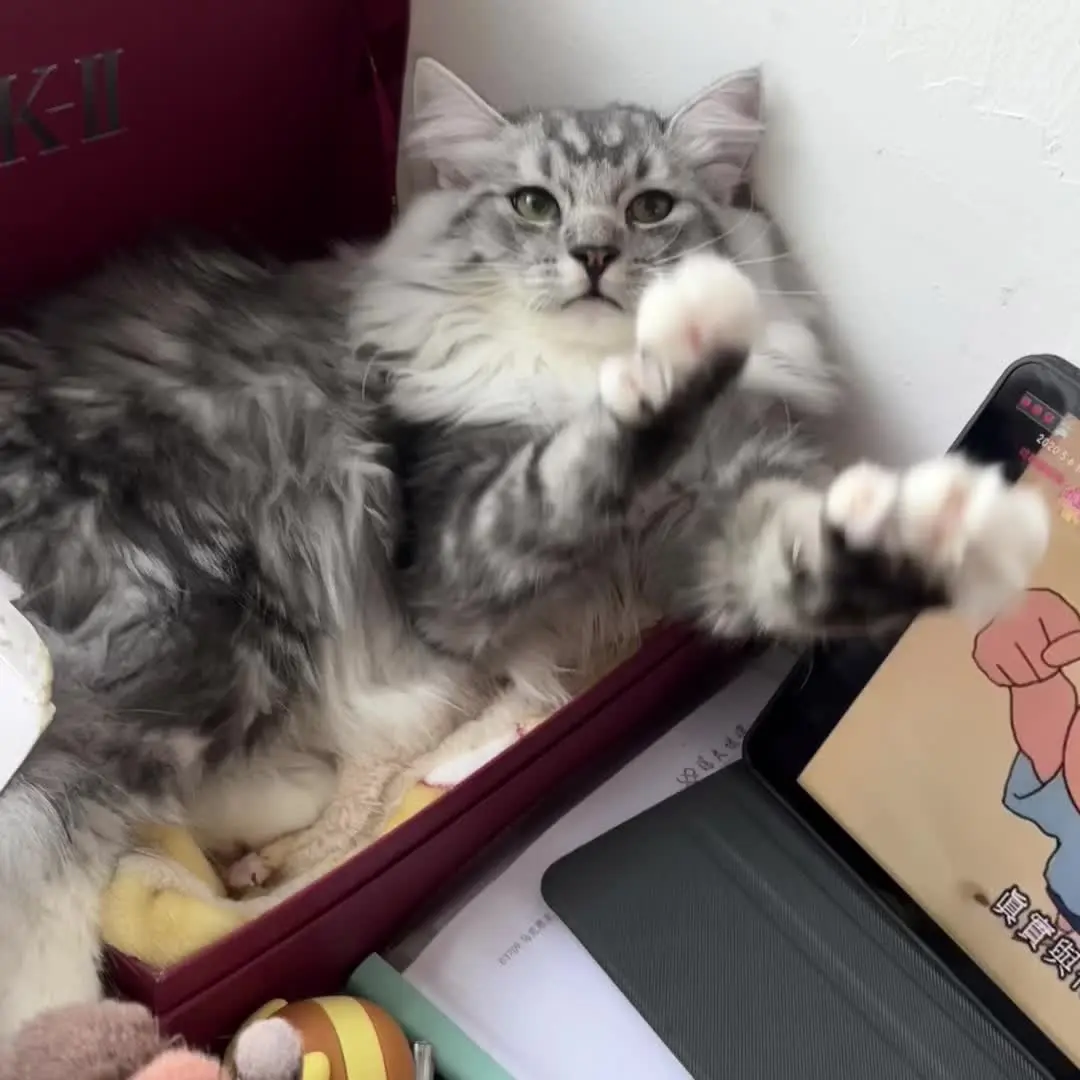 平安纯享版本