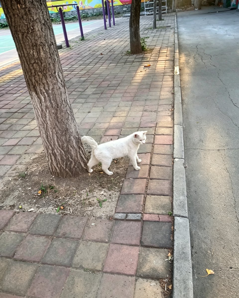 沈翊你的晓玄在我这🐱 