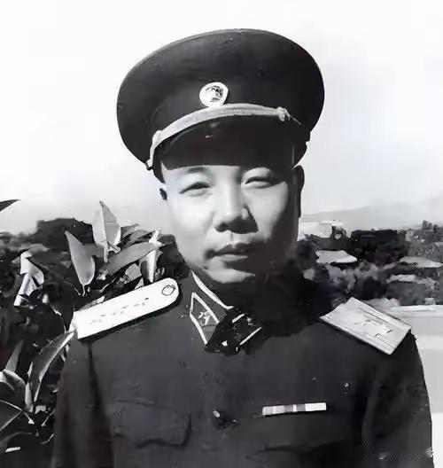 将军回乡只准吃素菜，食堂偷偷加了一盘鸡蛋，他的举动让人泪目

1961年，开国上