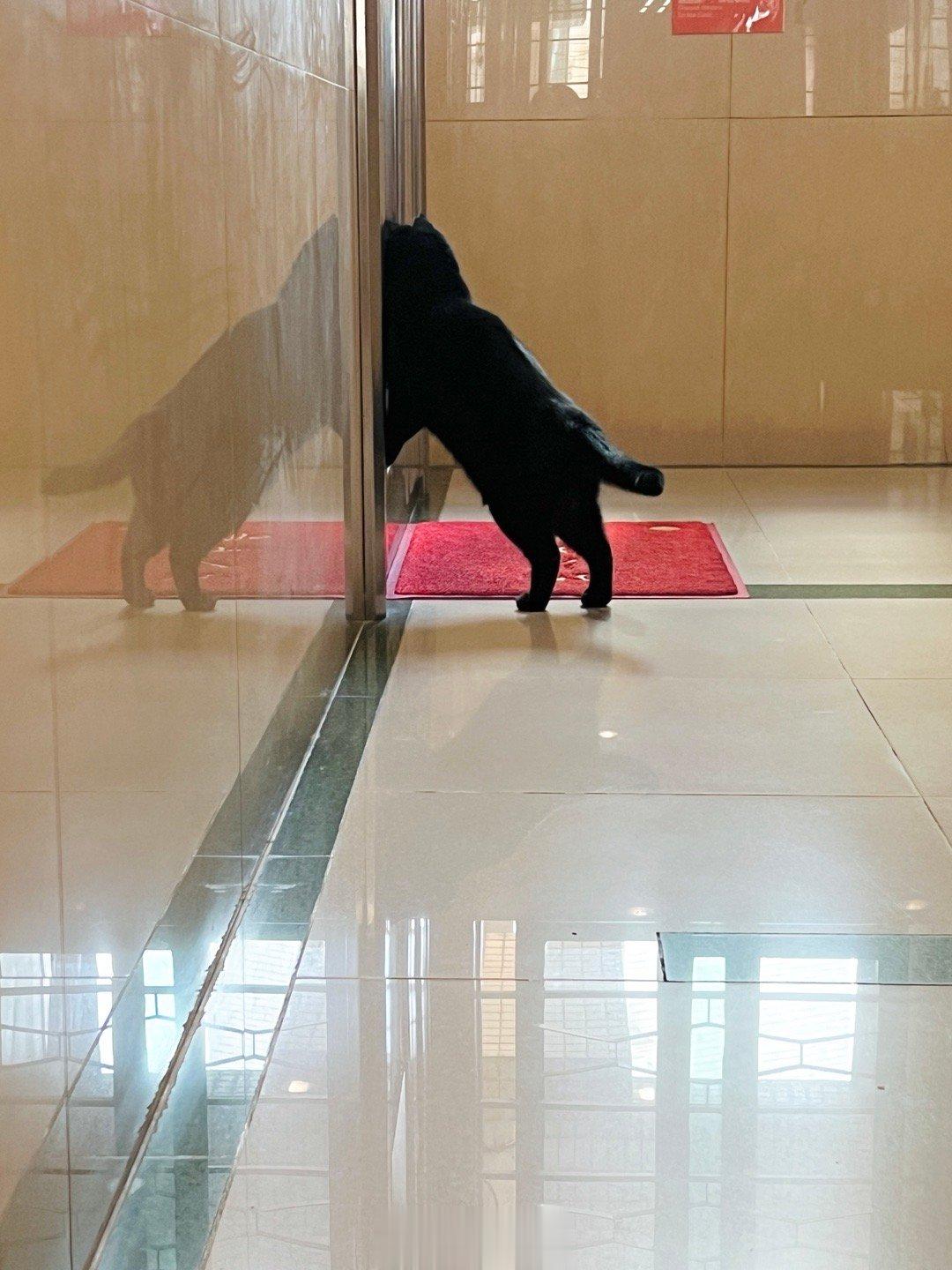 蝦：有人在嗎？能開門讓我進去玩嗎？#蝦蝦不可以太可愛# ​​​