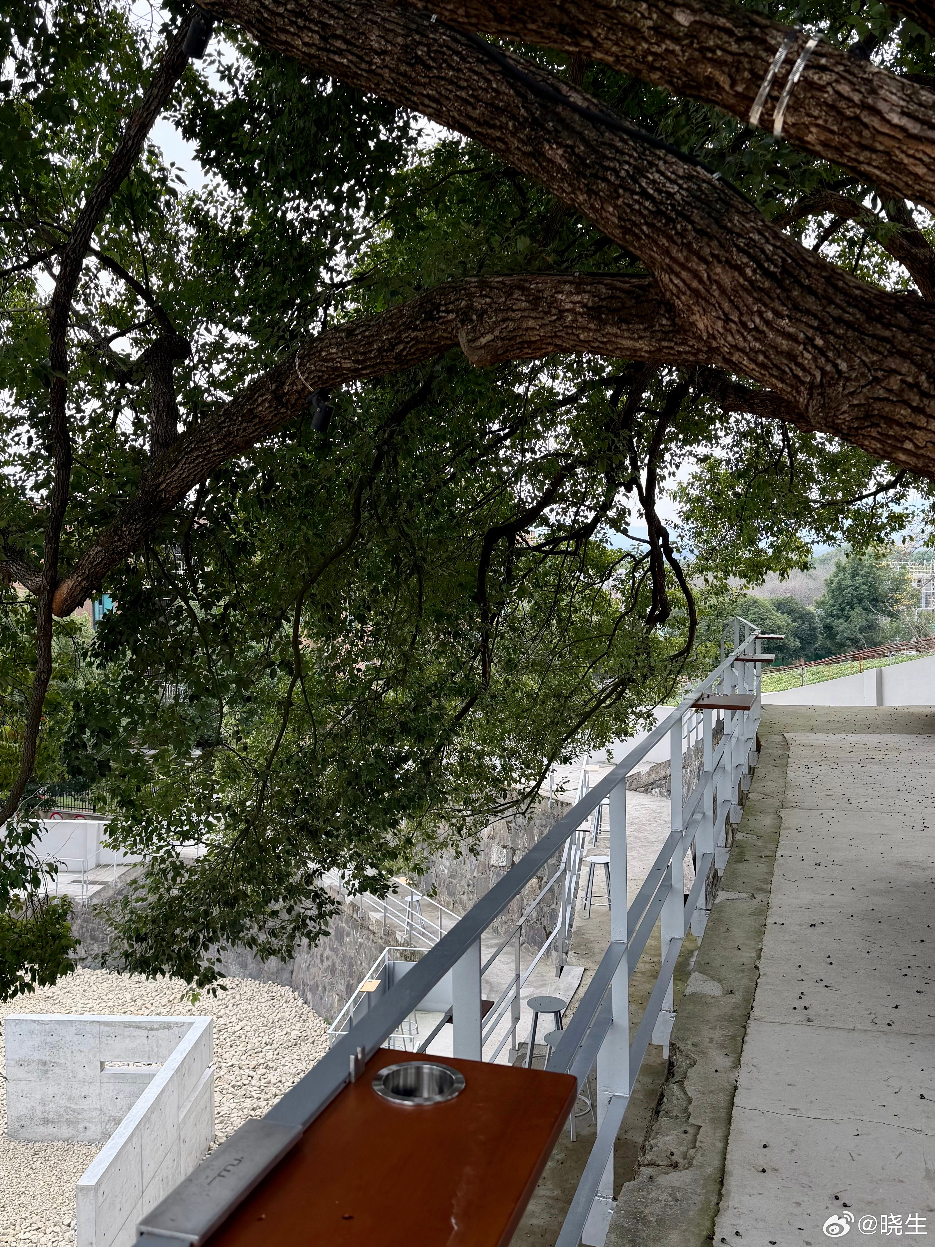 延迟幸福这件事很不靠谱，有时候都是自己给自己画的饼，要我说就是精神胜利了自己其实