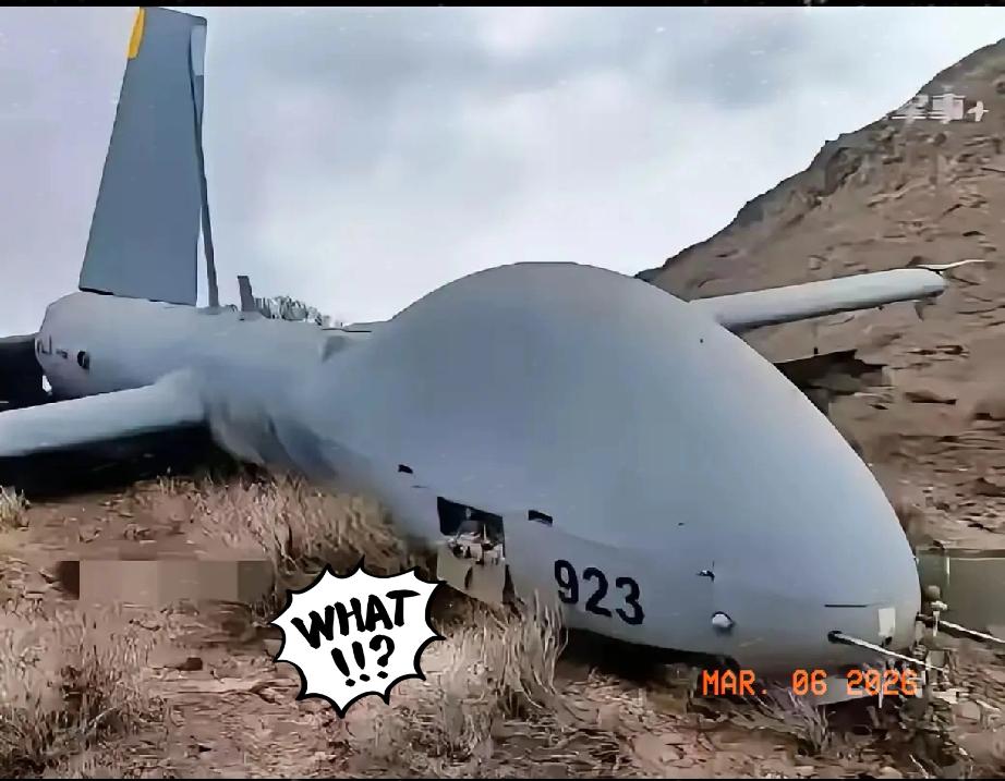 真的太震撼了！高端无人机居然能被完整“活捉”，这波操作直接看呆所有人。
没有开火