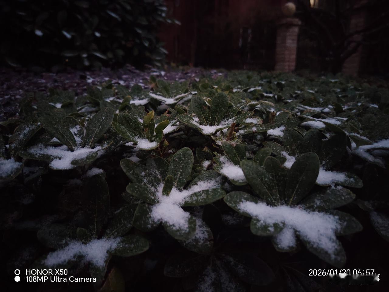 记录我的20262026年1月20日江西九江下雪了打卡分享