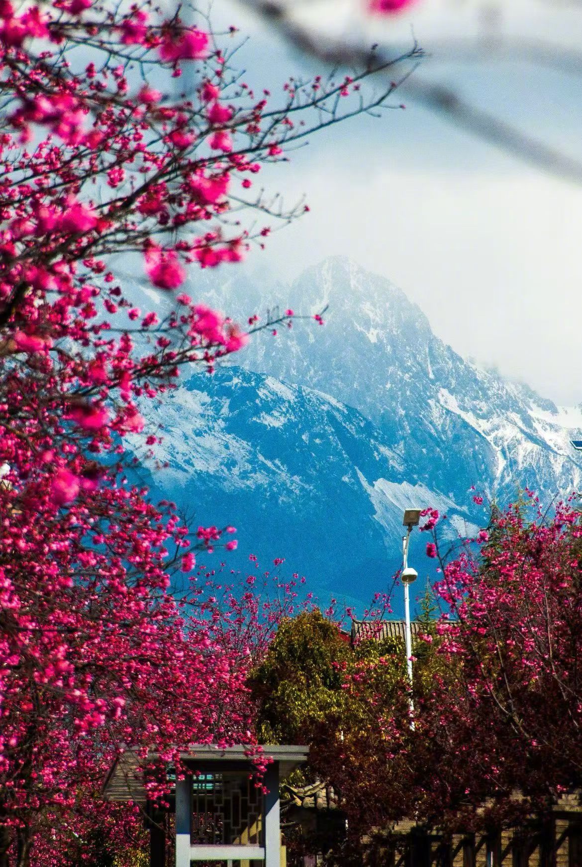 《灵魂》我走过一遍开花的树灵魂重了一两在小溪旁坐了半小时灵魂又重了一两望着山顶发