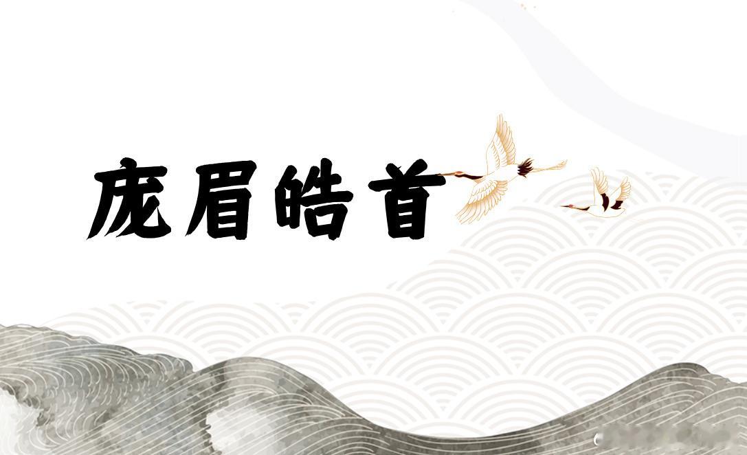 高考 释义：庞，杂。皓，白。形容年老的样子。 