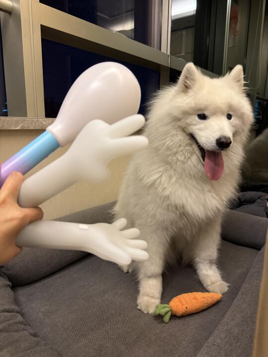 要去哪里买贴纸呀各位wmls