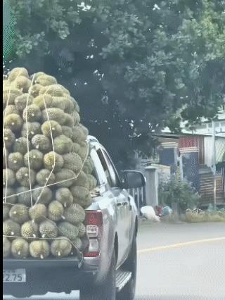 兄弟
你这样做不好吧
见者有份[灵光一闪]