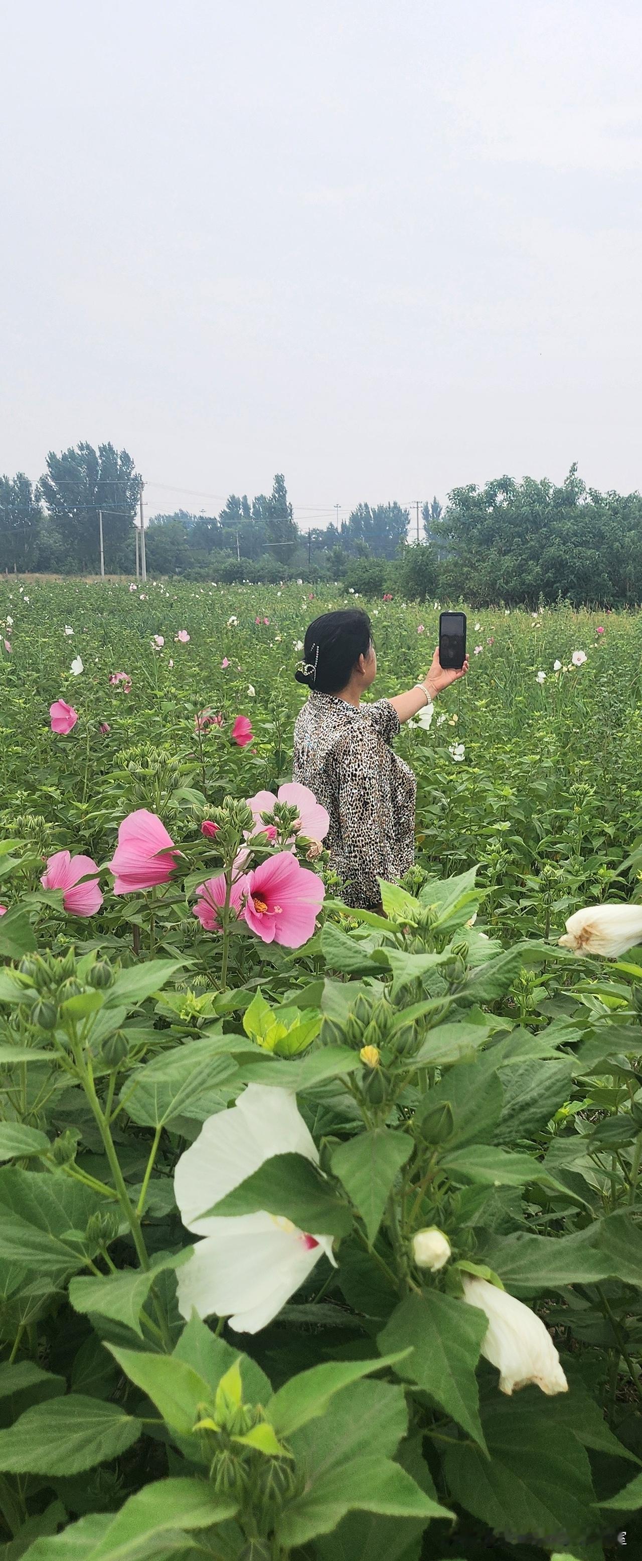 为何说我国的崛起是不可逆的历史必然？1. 工业体系完整，不惧外部封锁。2. 科创