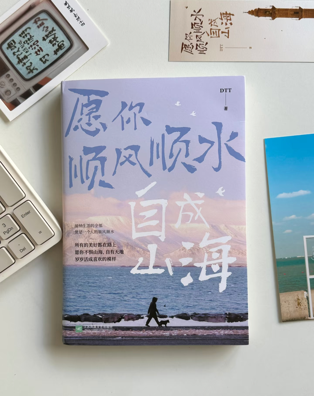 书名📚《愿你顺风顺水，自成山海》作者🔮DTT“生活是一面镜子，你对它笑，它就