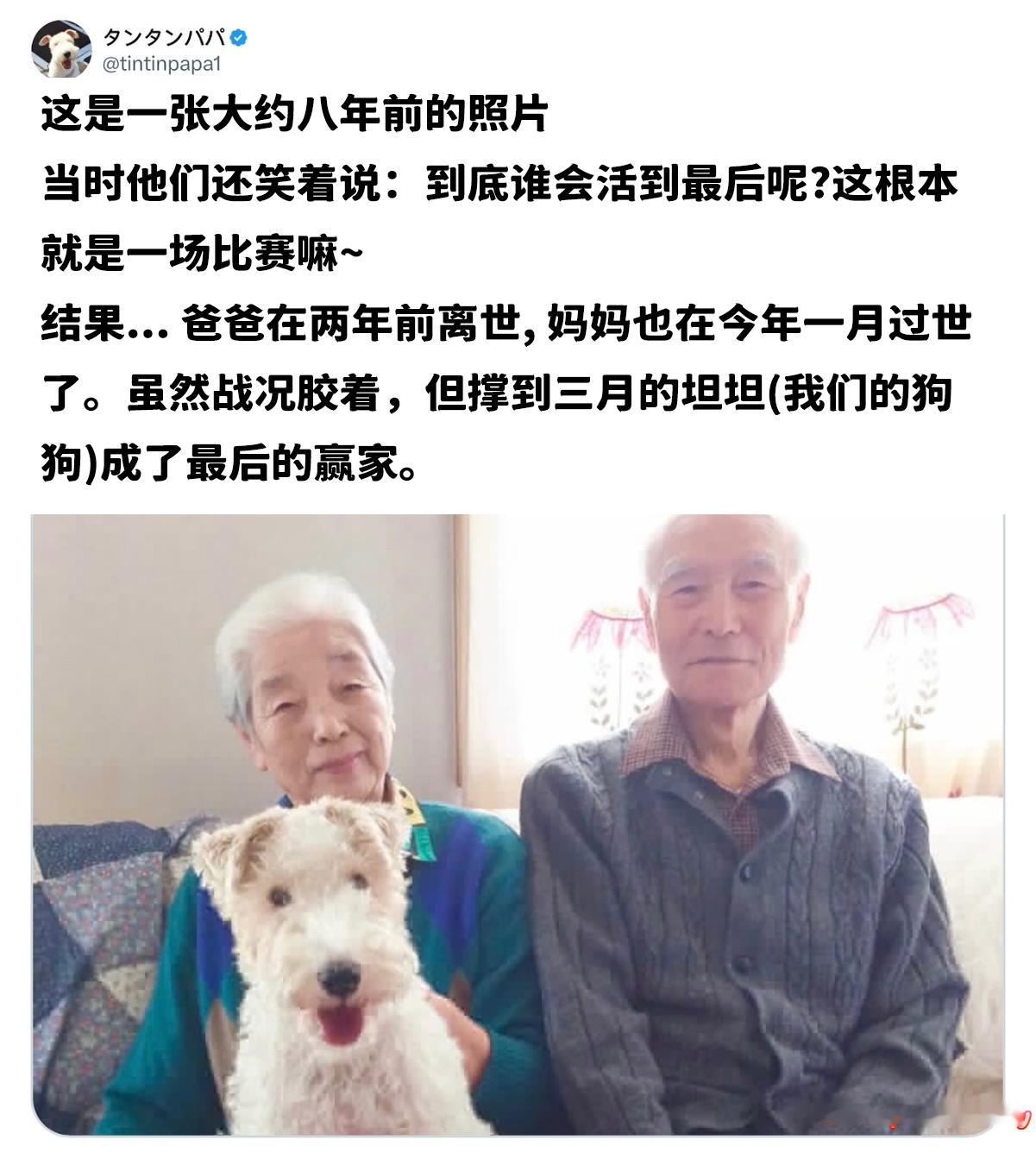 一个没人希望有赢家的比赛meme ​​​