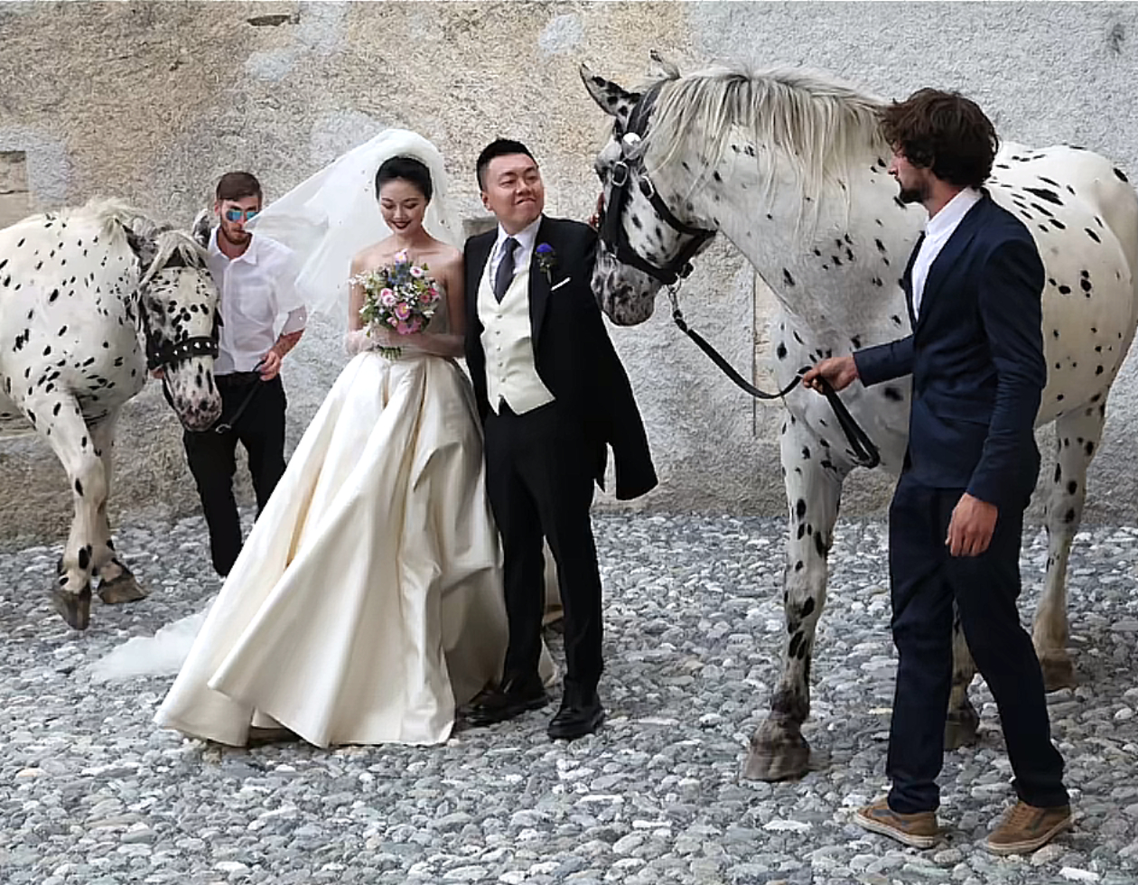 晚晚在结婚十周年之际发布了自己未公开的婚纱照，审美积累… ​​​