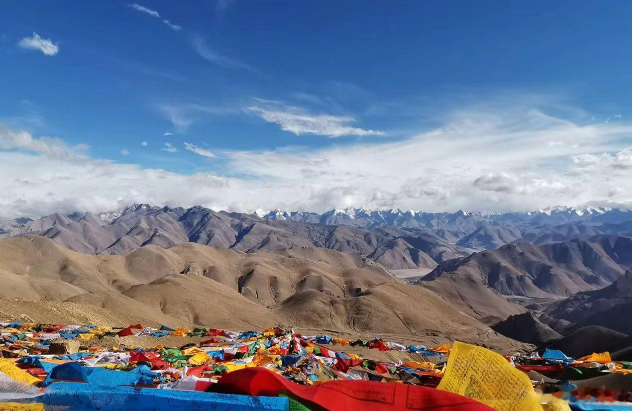 “放生”变“杀生”：你的善意，可能按下高原本土物种灭绝的按钮青藏高原被誉为“世界