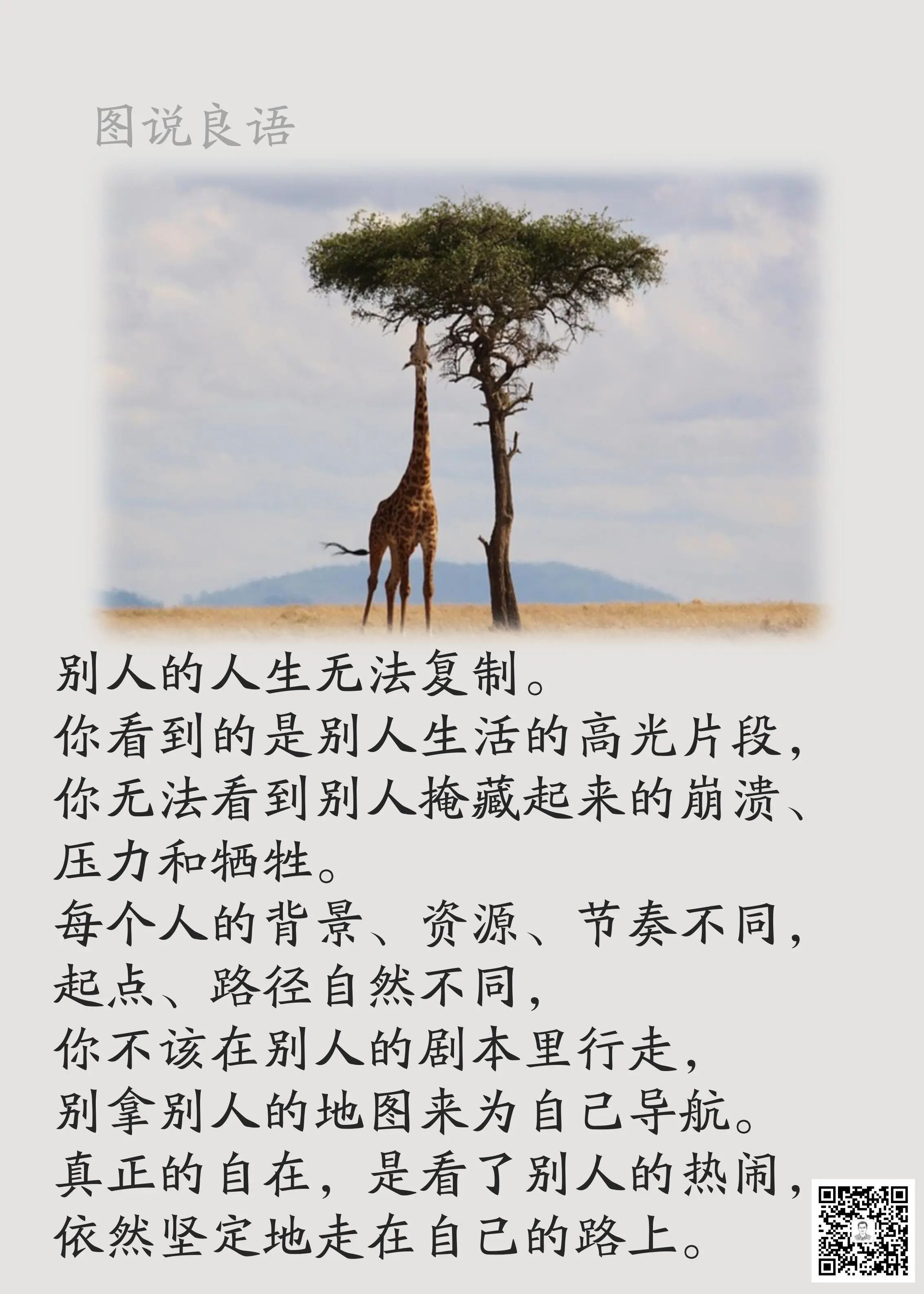 人生思悟  别人的人生无法复制。励志哲理人生 ｜ 人生哲理  ｜ 生活哲理 你看